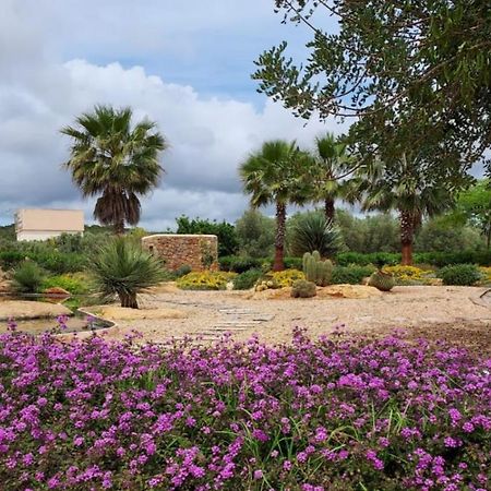 Villa Can Cosmi Santa Eularia des Riu Dış mekan fotoğraf